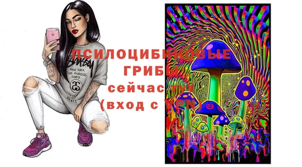 амф Магадан